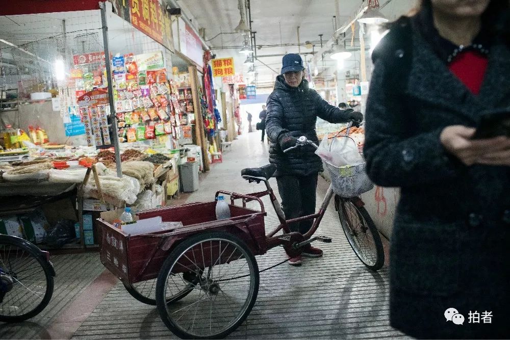 养40只流浪猫建新家,家里有18只流浪猫