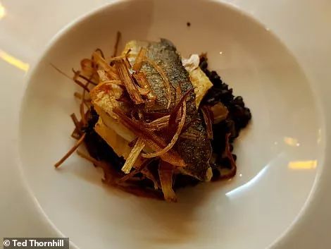 世界各国飞机头等舱对比,飞机的头等舱到底有多豪华