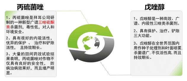 防赤霉病最好农药是哪一款,抗锈病抗赤霉病高产品种
