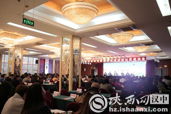 新媒体助力乡村振兴专题培训,促进消费专题培训