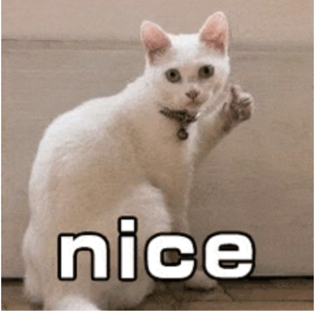 日本爱丽思除螨仪,日本紫外线除螨仪