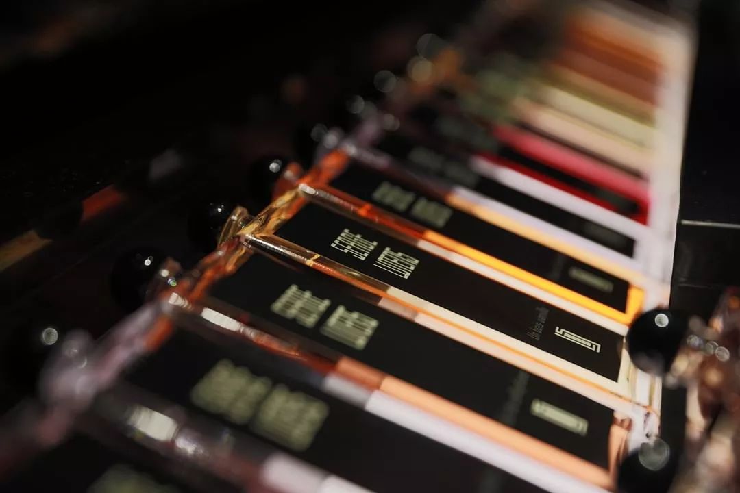 同样是沙龙香，为何SergeLutens芦丹氏就被誉为最神秘、最值得尝试的香水呢？