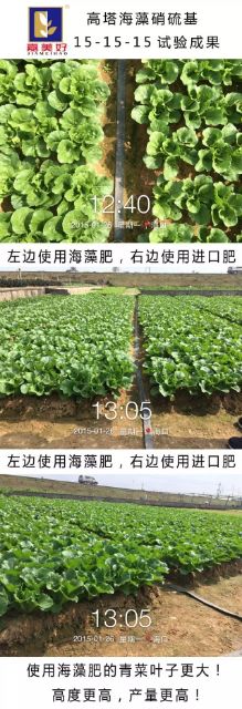 C位出道！嘉美好“藻精灵”正宗的海藻高塔复合肥，赶快报名免费尝鲜啦