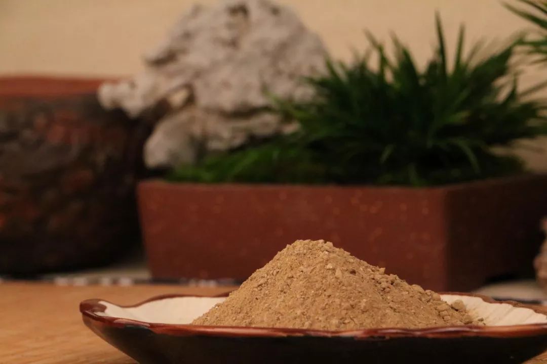 碗莲苗烂茎叶子怎么办,碗莲幼苗期各种病症解决法