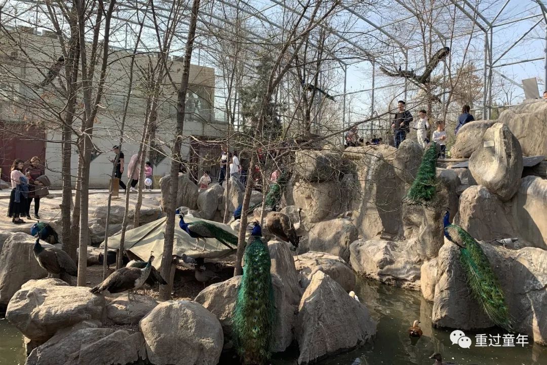 西安一个很有特色的公园,西安十大免费景区公园