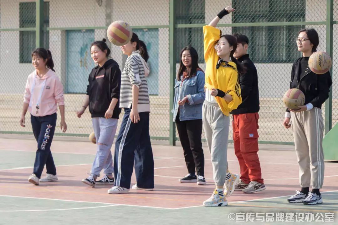 体育篮球排球技巧,篮球排球练习