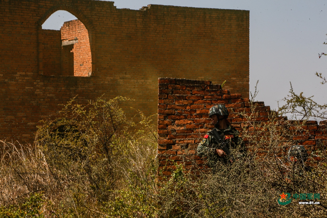 魔鬼周出征特战队员挑战极限,特战分队魔鬼周极限训练反思总结