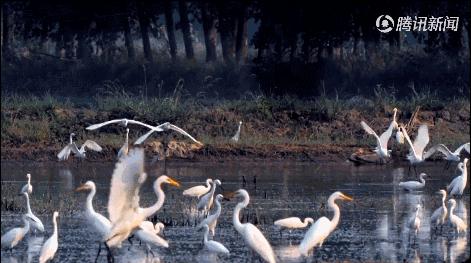 读懂十二时辰就懂人生,读懂十二时辰就懂了我们的一生