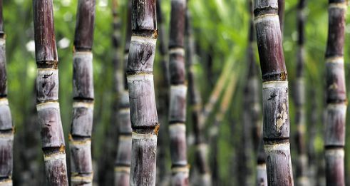 南充有什么特色好吃的可以带走的,南充有什么好吃的特产