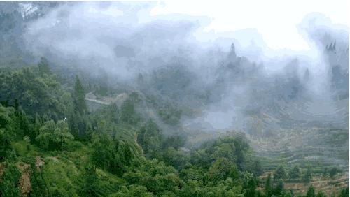 成都伴手礼有些什么,成都伴手礼攻略