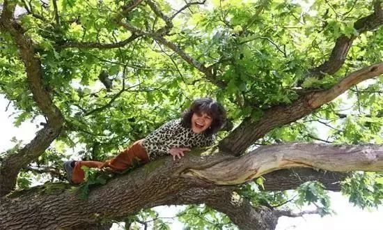 被绑架的4岁小孩,4岁儿童被绑架