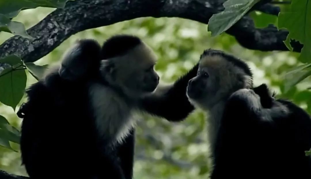 被绑架的4岁小孩,4岁儿童被绑架