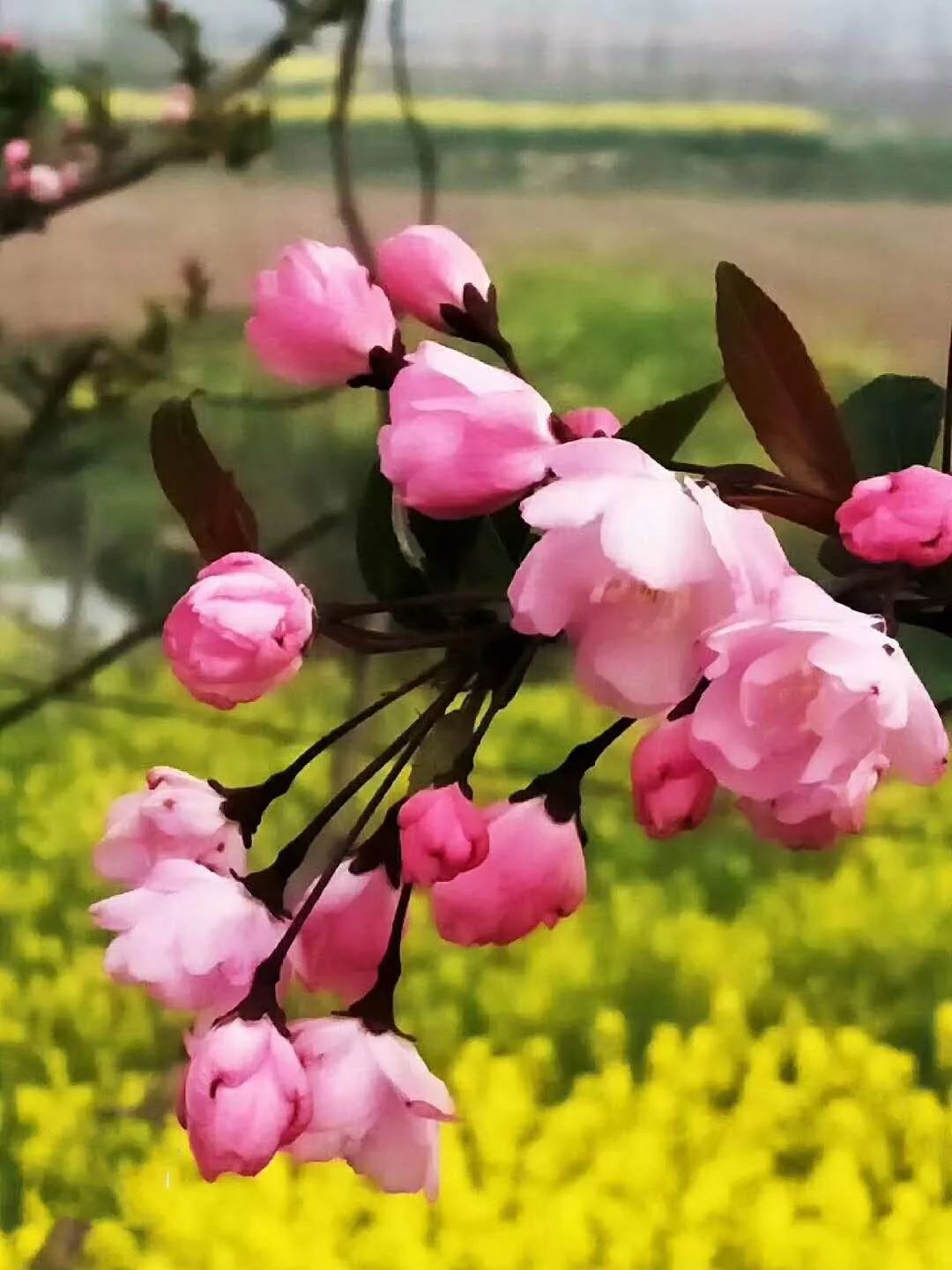 古诗词西江月遣兴,诗词西江月视频