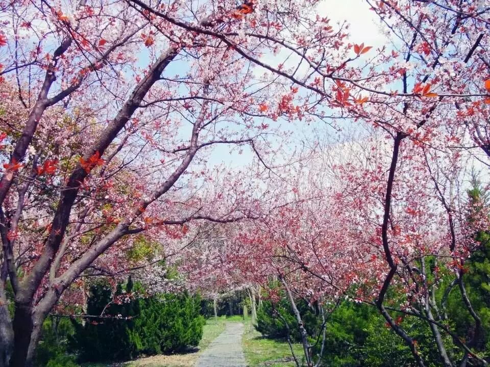 剁手｜10块钱在上海能干些什么？这些可能大家都想不到！