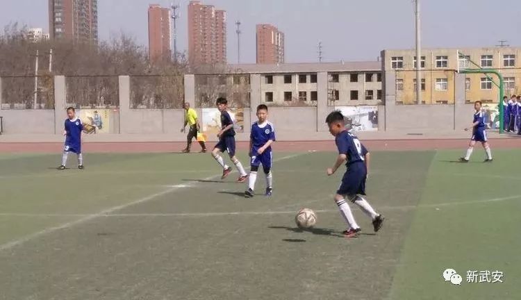 2024年武安市中小学足球赛,武安足球比赛