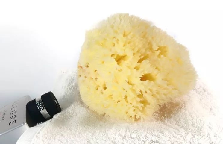 怎样清洗希腊天然海绵,希腊洗澡海绵使用小技巧