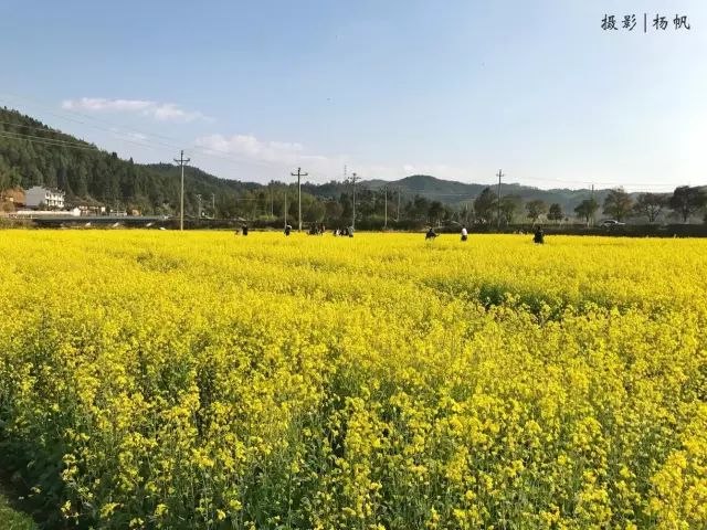 我在泰宁刚刚好，何必羡慕北上广！朋友圈传疯了！
