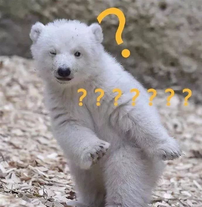 深夜和客服搞笑聊天截图,深夜和客服聊天截图