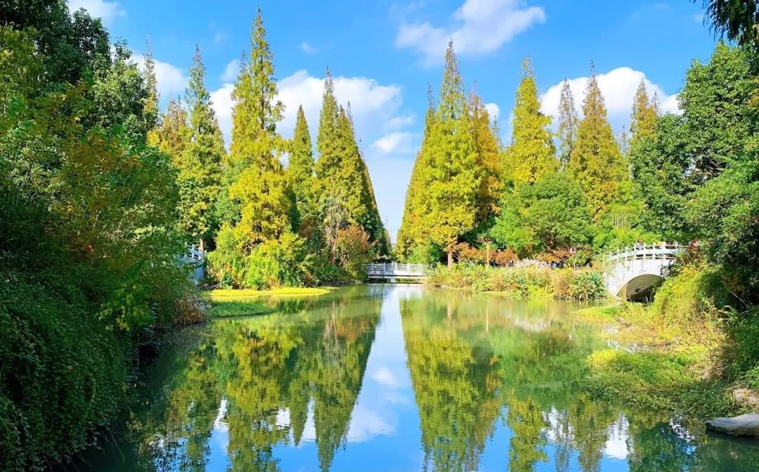 结棍！这个春天，是崇明撑起了魔都的体面！