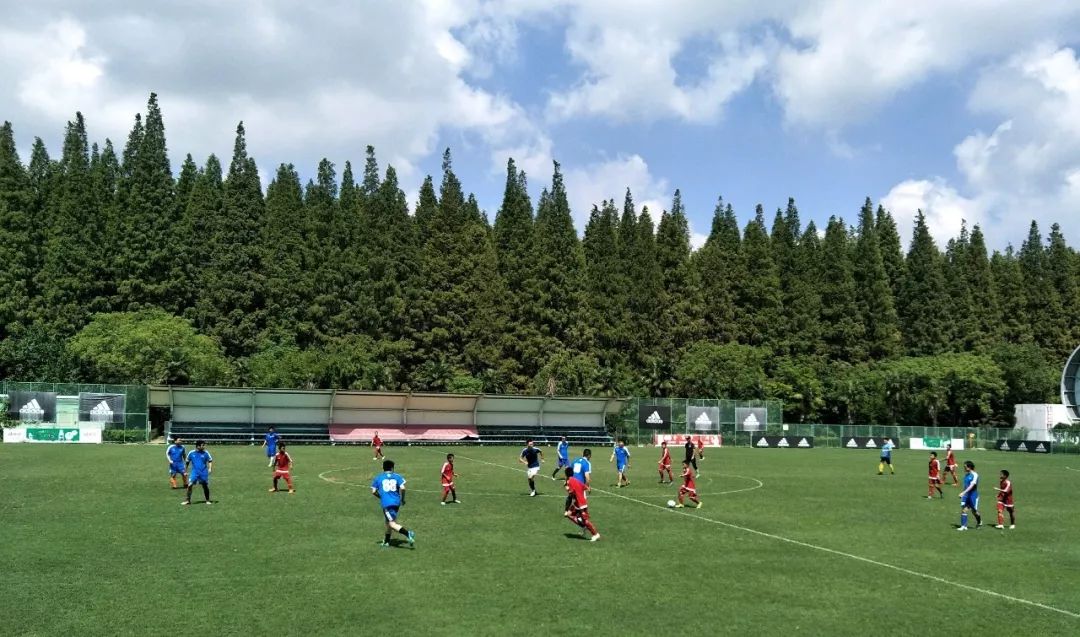 结棍！这个春天，是崇明撑起了魔都的体面！