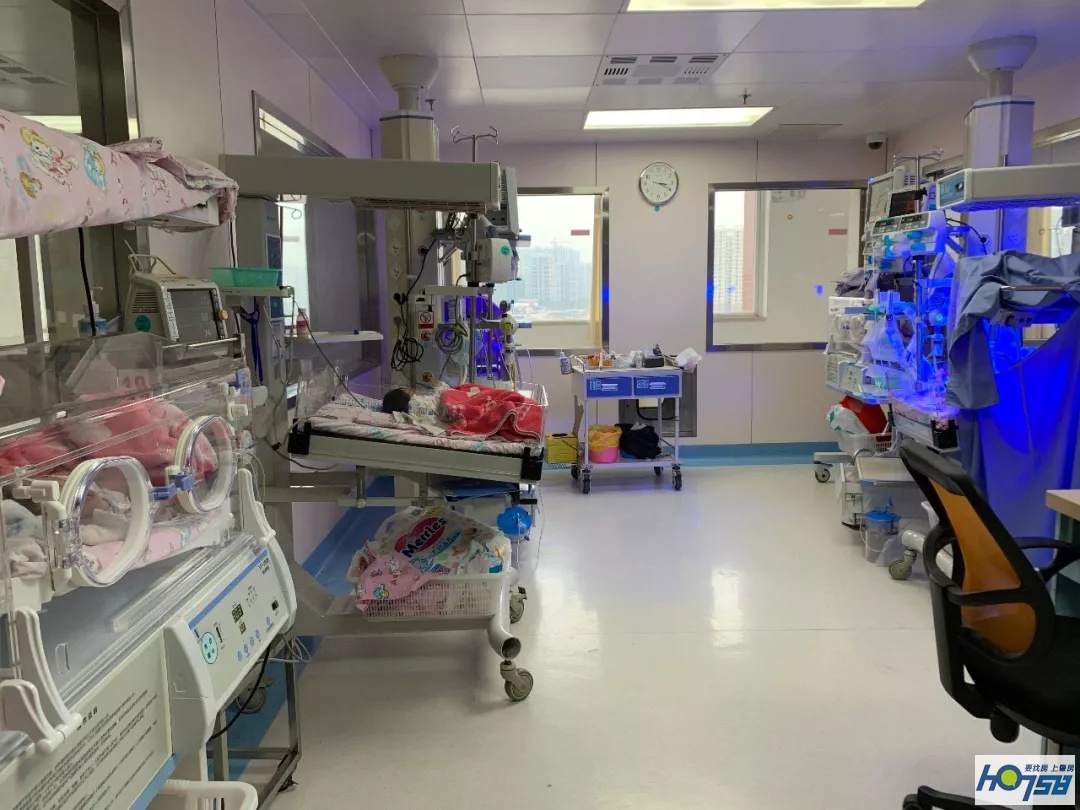 缂栫粐鐢熷懡涔嬬綉,缂栫粐鐢熷懡涔嬬綉浣滃搧