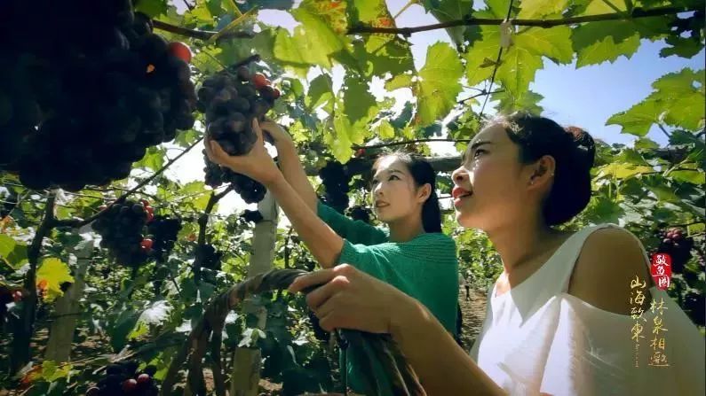 夏日鲅鱼圈旅游,开心假期去哪里玩