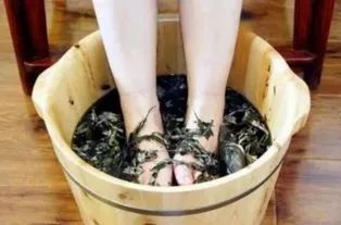 哪种野生野草能治腰痛,农村专治腰痛的草药