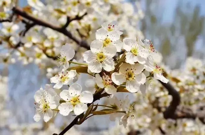 最新通告!清明假期,河北这些地儿不能去,因为……