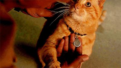 跟刘昊然在非洲过了6天5夜,发现他其实就是个话痨加多动症啊……