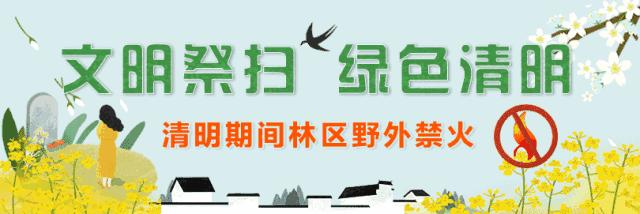 湖州一院清明节放假,湖州清明节各大医院放假安排