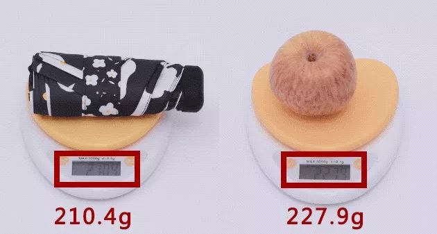 日本变态雨伞图案,防紫外线太阳伞小巧便携颜值