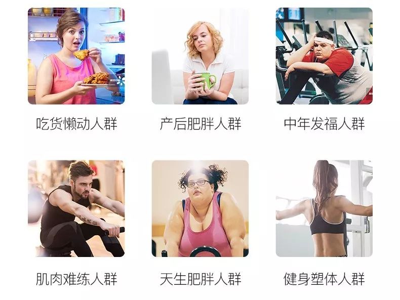 左旋健身减肥燃脂,健身快速燃脂科技