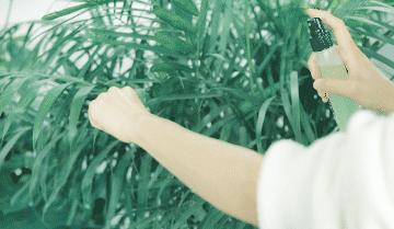 蚊子驱蚊驱虫,杀虫剂对蚊子有效又安全