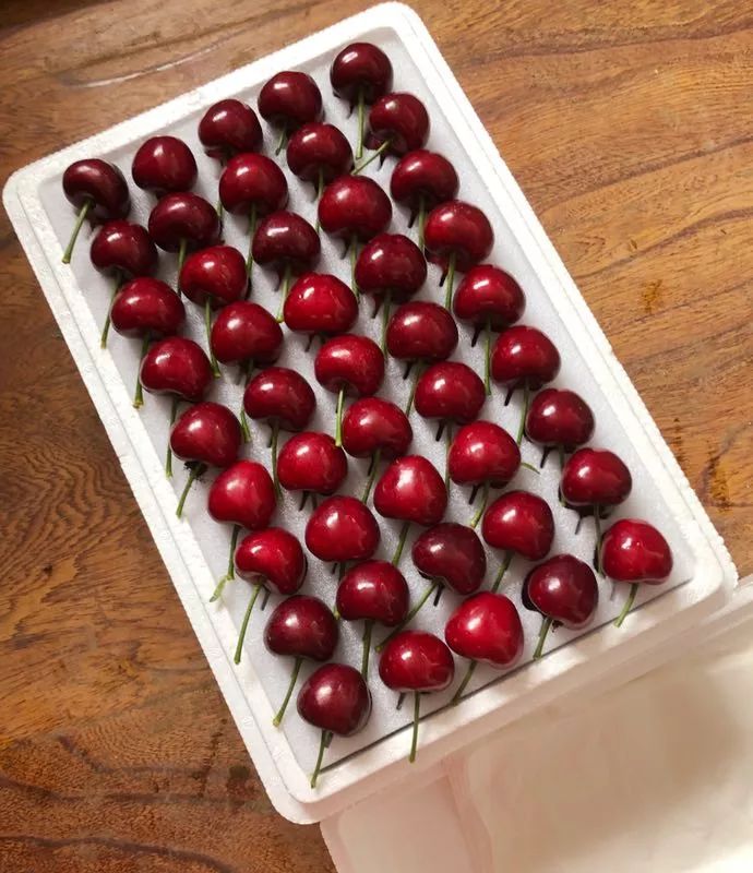 前国门安琦家的樱桃又来啦！为了孩子，他用守护球门的双手，种出了汁多甘甜的超好吃樱桃