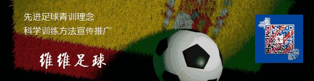 维维足球过人技巧系列教程,齐达内十大传球