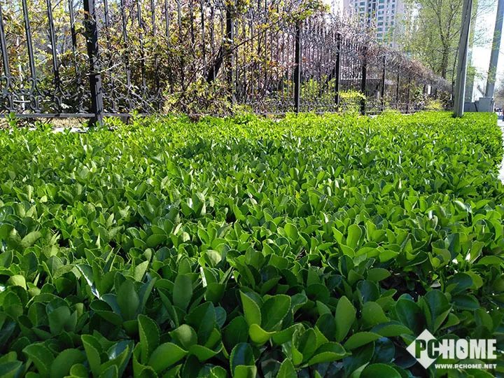 海信金刚5手机,海信金刚5pro评测