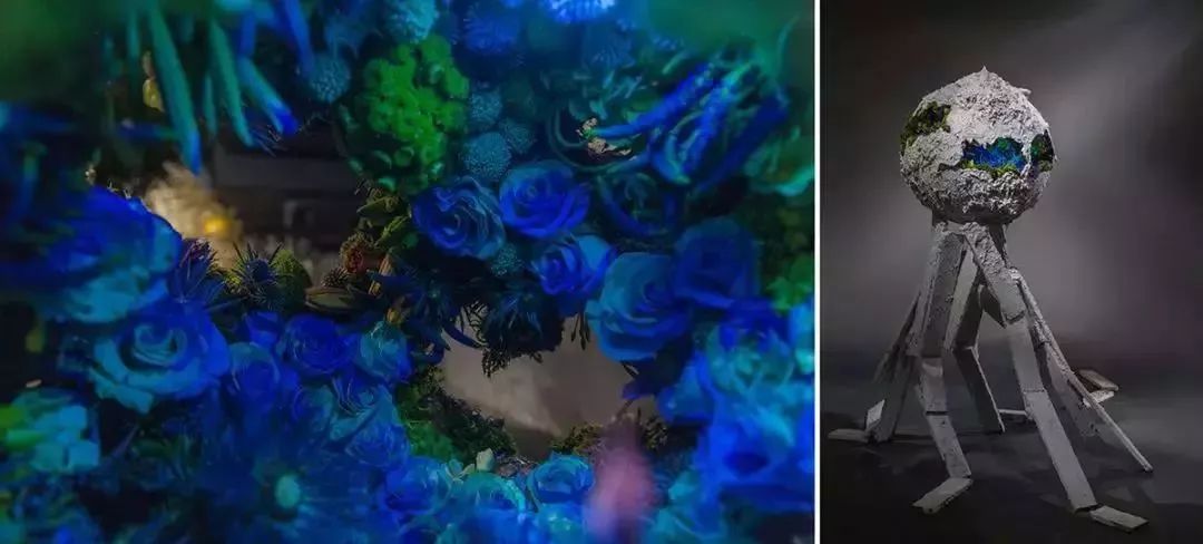 再也不羡慕别人家的果园,再也不用羡慕人家种的花