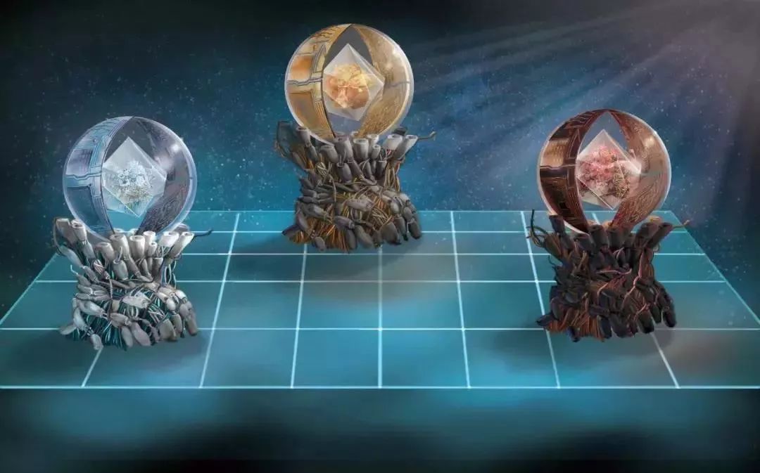 再也不羡慕别人家的果园,再也不用羡慕人家种的花