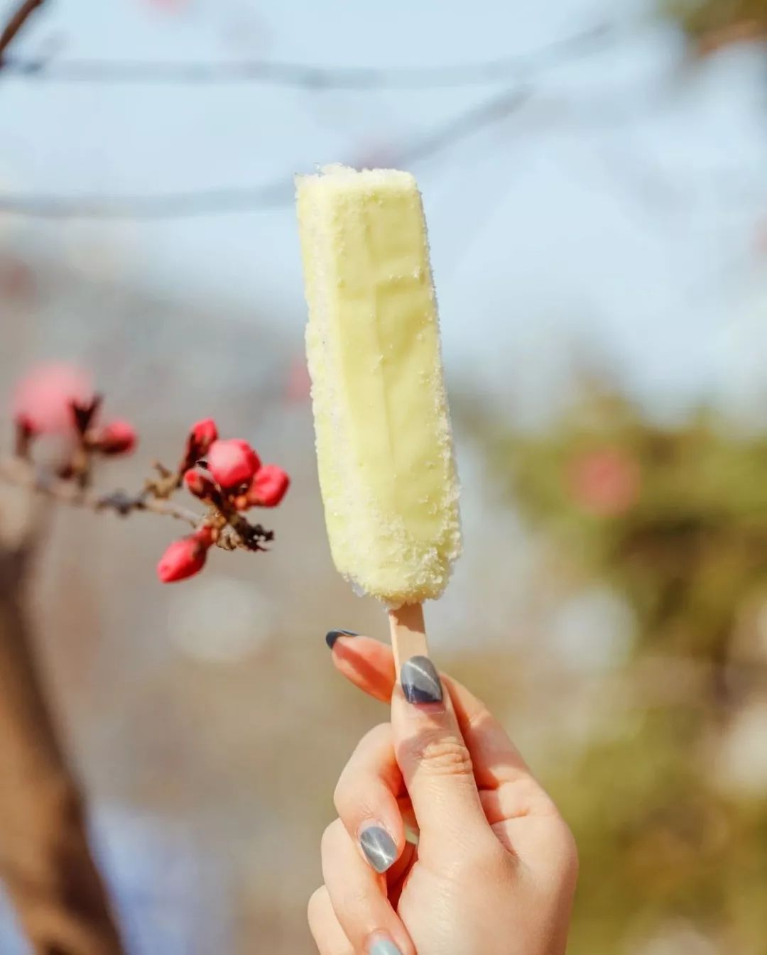 7.11便利店什么雪糕值得买,适合便利店的雪糕