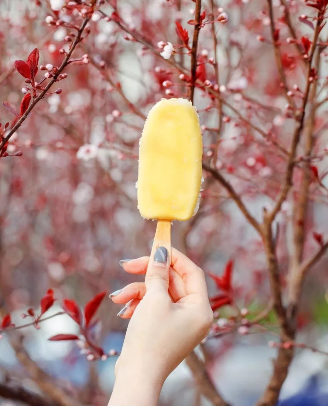 7.11便利店什么雪糕值得买,便利店雪糕品牌选哪些