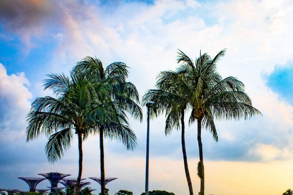 去马来西亚探亲签证怎么样办理,马来西亚留学签证办理流程