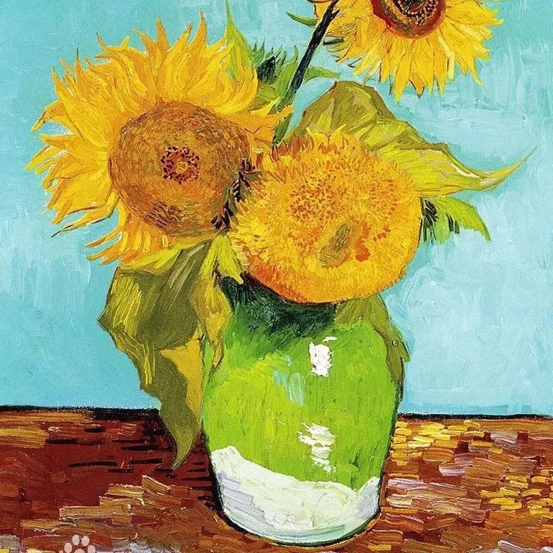 名副其实的防晒乳水润轻薄,平价大碗防晒乳