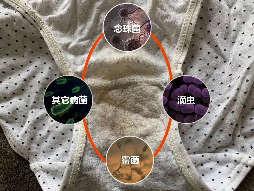 精致女生|比杜蕾斯还薄的*裤内**，舒适还很“安全”，穿上就像裸着一样