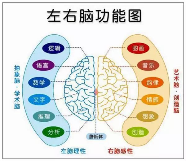 知乎零基础学英语,高情商回答你是怎样学英语的