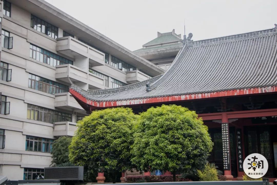 茶与布朗餐饮,茶与布朗加盟店