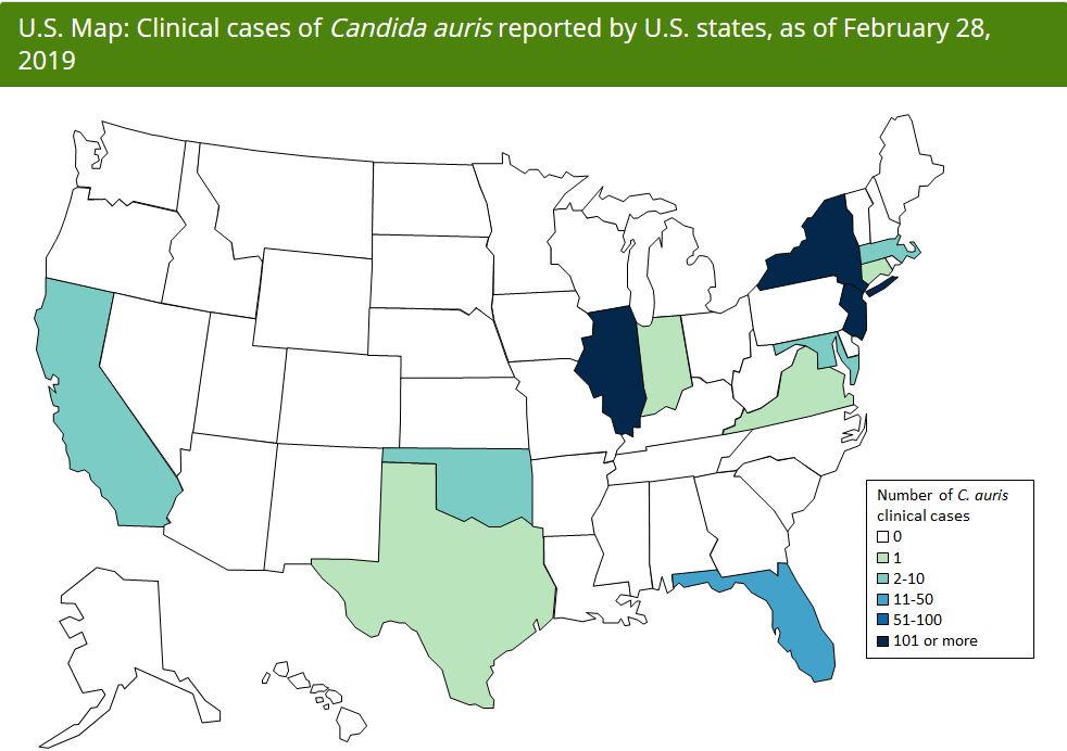 真菌感染到肺部致死率多少,可怕的真菌感染
