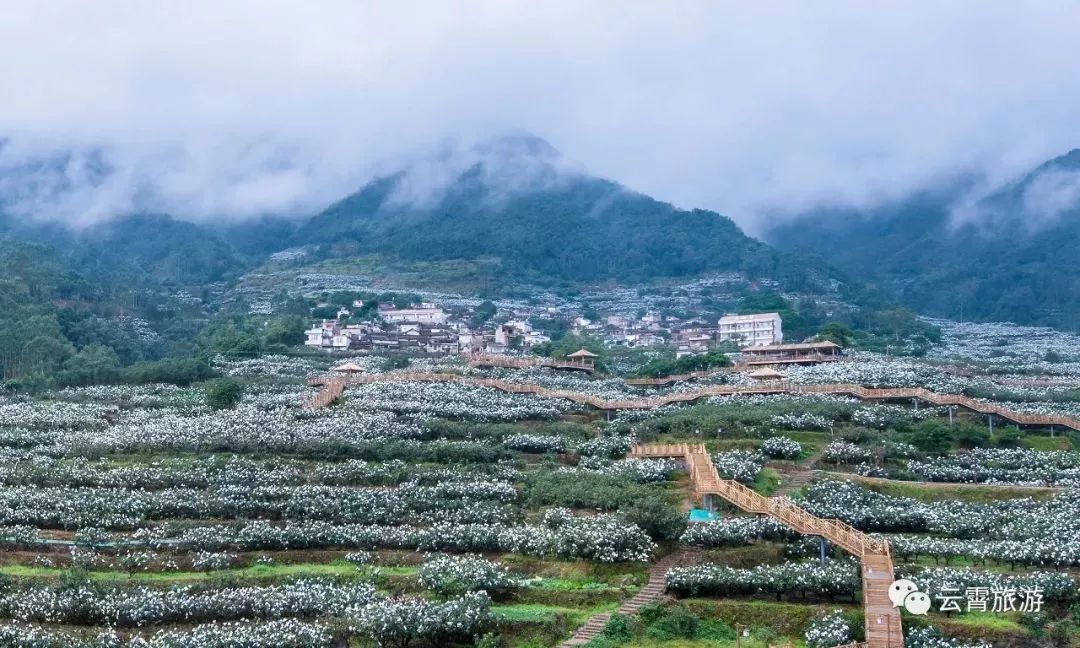 山海闽西南|乐吃、乐游、乐开怀！带上这份攻略，玩转云霄~