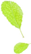 立夏啦有什么传统美食,阜阳立夏吃什么