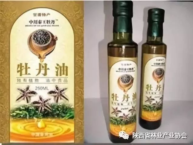 木本油料品种,中国高端木本油料