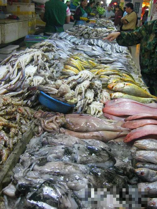 上海人吃老酒口头禅,上海人吃的鱼